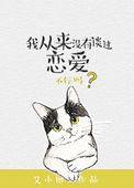 我从来没有谈过恋爱晋江文学城封面